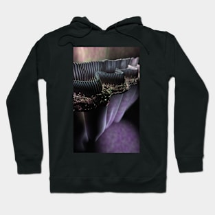 Inner ear hair cells, computer artwork (P434/0113) Hoodie